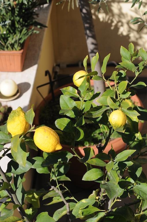 Aldebaran Bed & Breakfast Roma Exterior foto